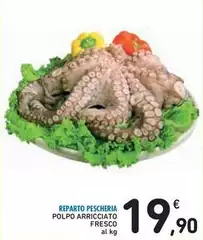Polpo Arricciato Fresco