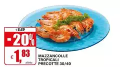 Mazzancolle Tropicali Precotte 30/40