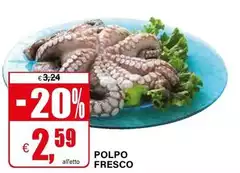 Polpo Fresco