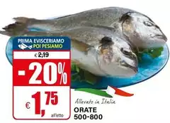 Orate 500-800