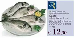 Orata
