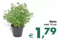 Menta