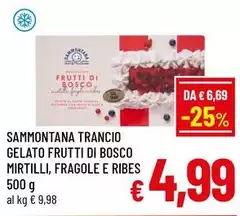Sammontana - Trancio Gelato Frutti Di Bosco Mirtilli, Fragole E Ribes 
