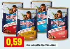 Morando - Miglior Gatto Bocconi