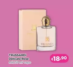 Delicate Rose