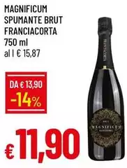 Brut - Spumante  Franciacorta