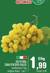 Conad - Uva Vittoria Percorso Qualità