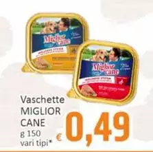 Morando - Miglior Cane Vaschette 