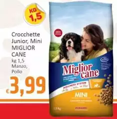 Morando - Miglior Cane Crocchette Junior