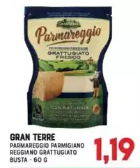 Gran Terre - Parmareggio Parmigiano Reggiano Grattugiato Busta