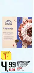 Sammontana - Torta Gelato "duchessa"