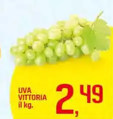 Vittoria - Uva