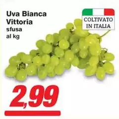 Vittoria - Uva Bianca