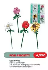 Fiori Assortiti