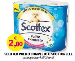 Scottex - Pulito Completo O Scottonelle