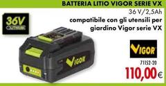 Vigor - Batteria Litio Serie VX