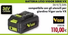 Vigor - Batteria Litio Serie VX
