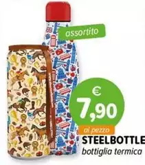 Steelbottle