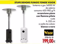 Vigor - Stufe Defort Fungo Tonde