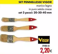 Vigor - Set Pennellesse