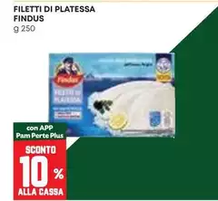 Findus - Filetti Di Platessa
