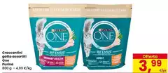 Purina - Croccantini Gatto Assortiti One
