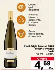 Cavit - Pinot Grigio Trentino DOC I Mastri Vernacoli