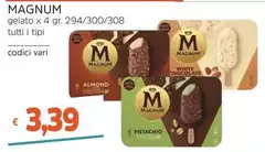 Algida - Magnum Gelato 