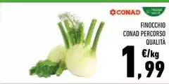 Conad - Finocchio Percorso Qualità