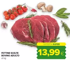 Fettine Scelte Bovino Adulto