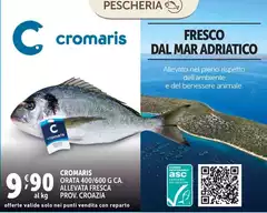 Cromaris Orata 400/600 G Ca Allevata Fresca Prov.