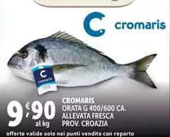 Cromaris - Orata G 400/600 Ca. Allevata Fresca Prov. Croazia
