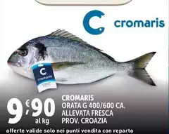 Cromaris - Orata G 400/600 Ca. Allevata Fresca Prov. Croazia