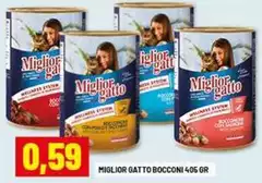 Morando - Miglior Gatto Bocconi