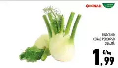 Conad - Finocchio Percorso Qualità