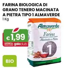 Almaverde - Farina Biologica Di Grano Tenero Macinata A Pietra Tipo 1