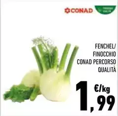 Conad - Finocchio Percorso Qualità