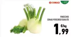 Conad - Finocchio Percorso Qualità
