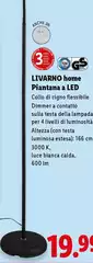 Livarno Home - Piantana A Led