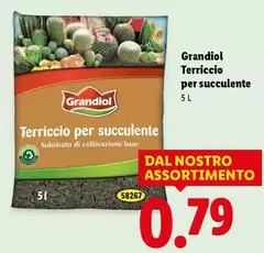 Grandiol - Terriccio Per Succulente