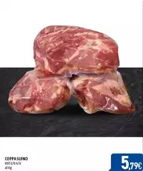 Coppasuino