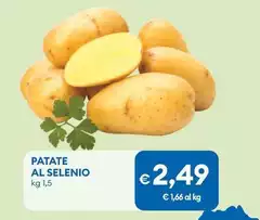 Patate Al Selenio