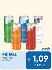 Red Bull - Assortita