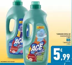 Ace - Gentile