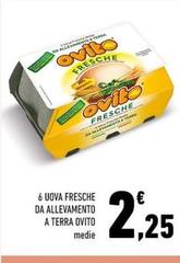 Ovito - 6 Uova Fresche Da Allevamento A Terra
