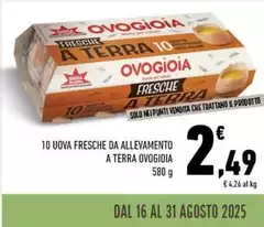 Ovogioia - 10 Uova Fresche Da Allevamento A Terra