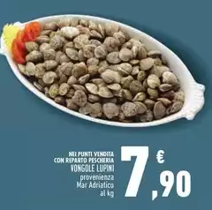 Yognole Lupini
