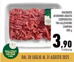 Luglio - Macinato Di Bovino Adulto