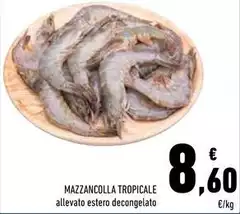 Mazzancolla Tropicale