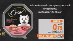 Cesar - Alimento Umido Completo Per Cani In Vaschetta